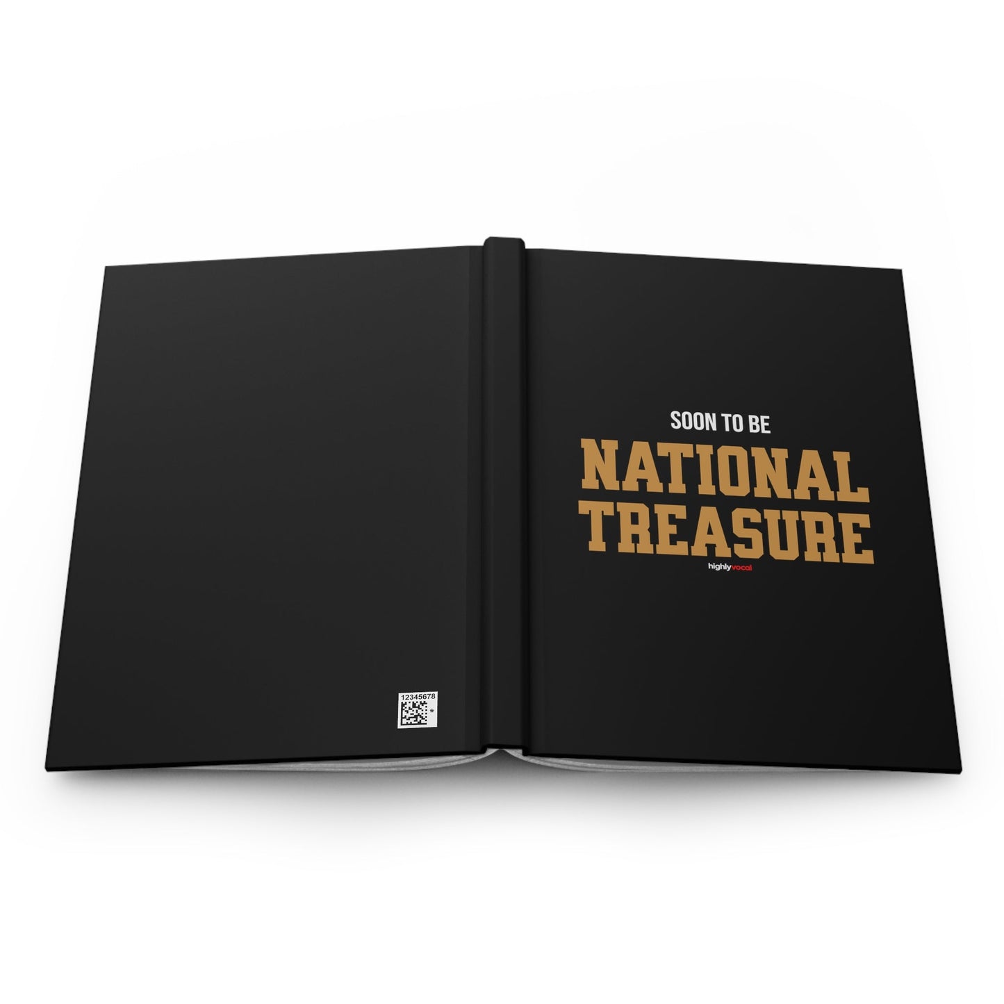 National Treasure Journal for Actors and Music Theatre Lovers - Highly Vocal